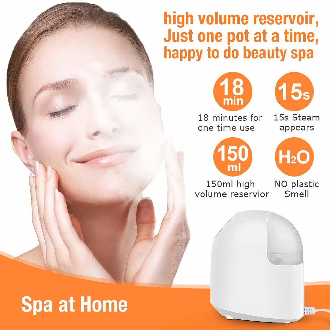 Portable Mini Custom Ionic 150ml Nano Mist Sprayer Ozone Professional Machine SPA Face Facial Steamer