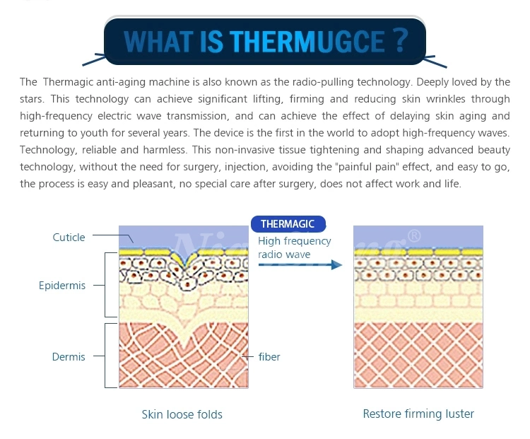 Thermagic RF Microneeedle Fractional Machine Facial Skin Tightening Beauty Salon Device